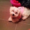 CLOE